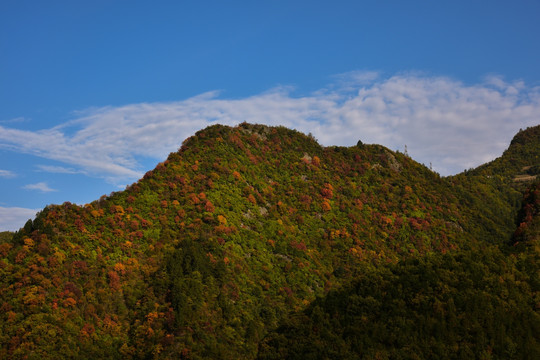 山