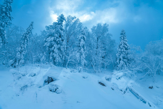 雾凇岛雪景