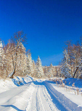 公路雪景