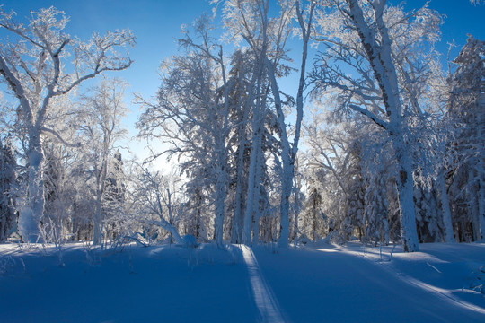 雾凇雪景