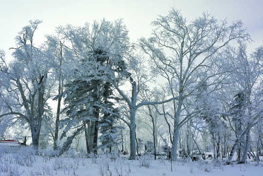 雾凇雪景