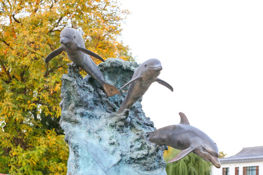北京城市雕塑海豚雕塑