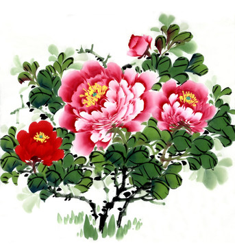 牡丹