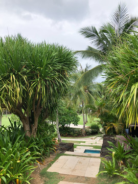 热带植物园林度假酒店