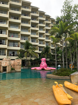 游泳池热带植物椰子树