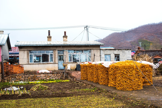 东北农家院