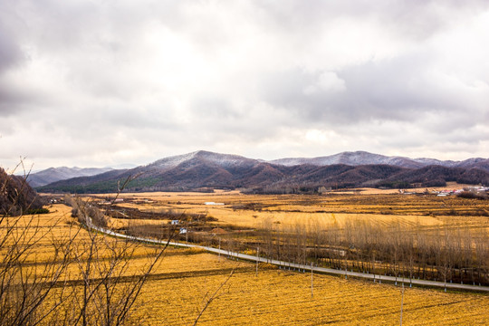 远山麦田