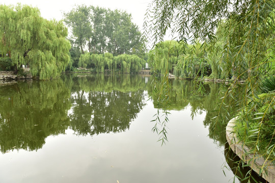 杭州西湖湖面