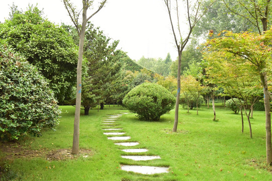 草坪石铺路面