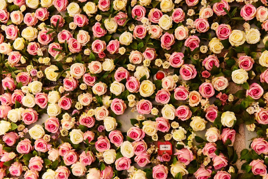玫瑰花背景墙