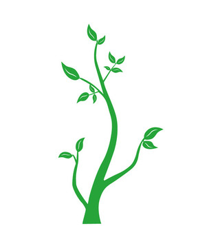樹(shù)枝樹(shù)葉
