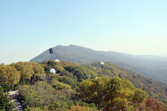 紫金山风景