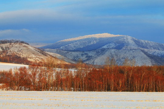 雪域山野森林