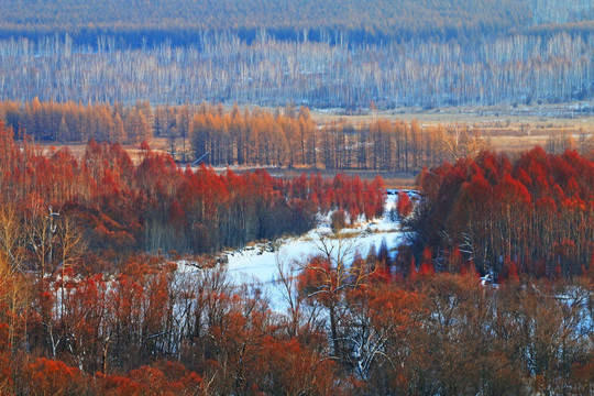 山野山林雪景