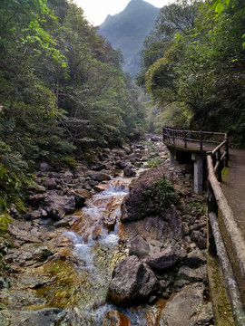 武义牛头山山涧栈道