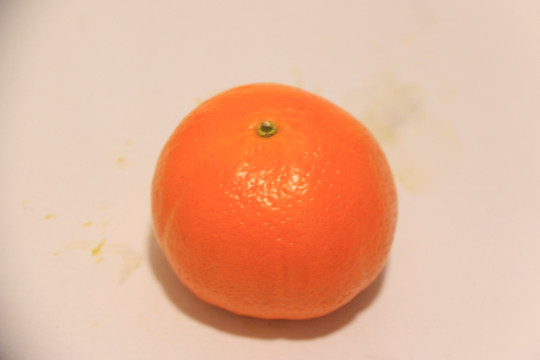 澳洲柑橘