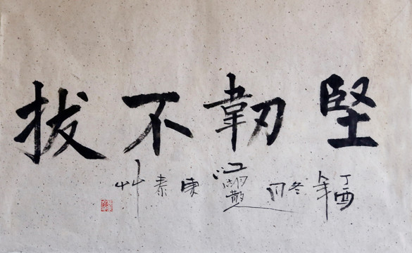 堅(jiān)韌不拔