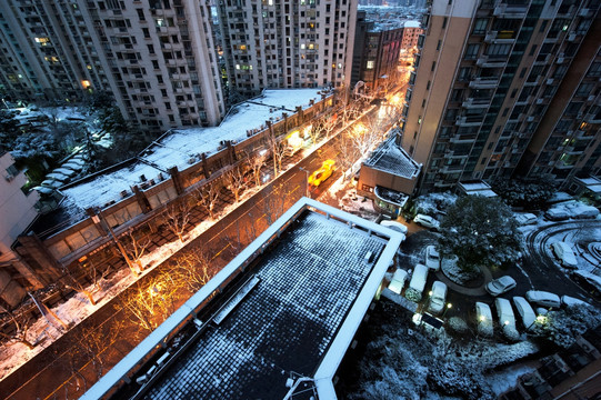 上海雪景