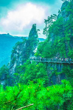 黄山风景