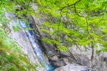 山泉溪水