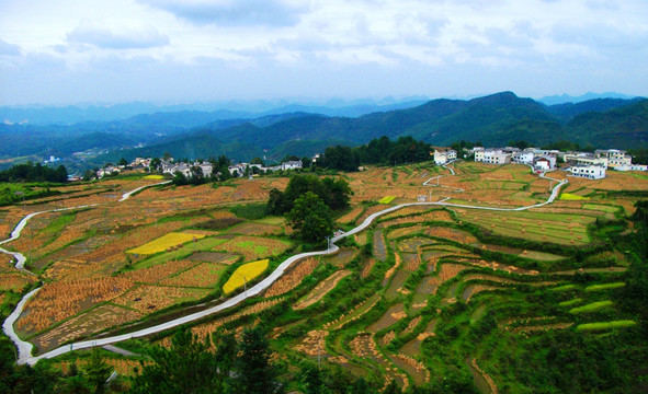 金秋高原梯田风电场