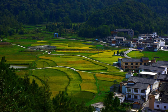 金秋高原梯田风电场