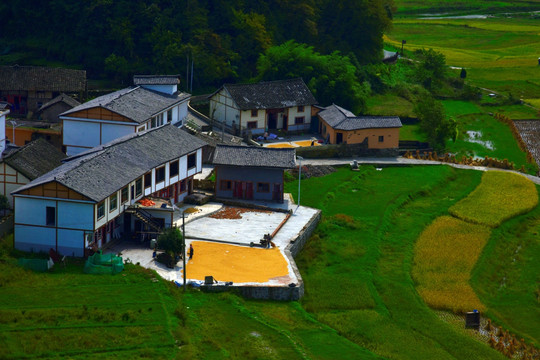 金秋高原梯田风电场