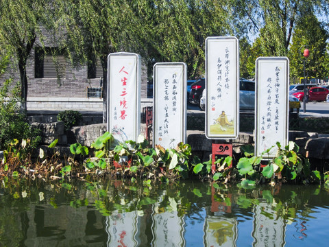 水景区装饰