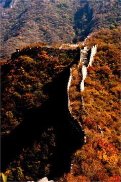 野长城采风