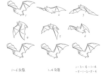 flash動畫蝙蝠扇動