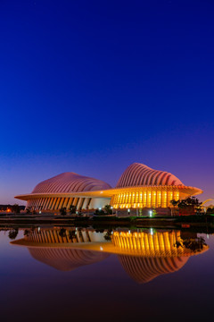 广西文化艺术中心夜景