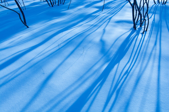 雪地