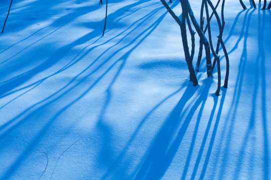 雪地