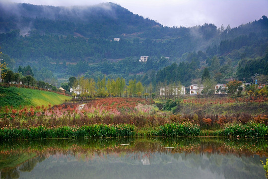 醉美乡村云雾中的五龙村