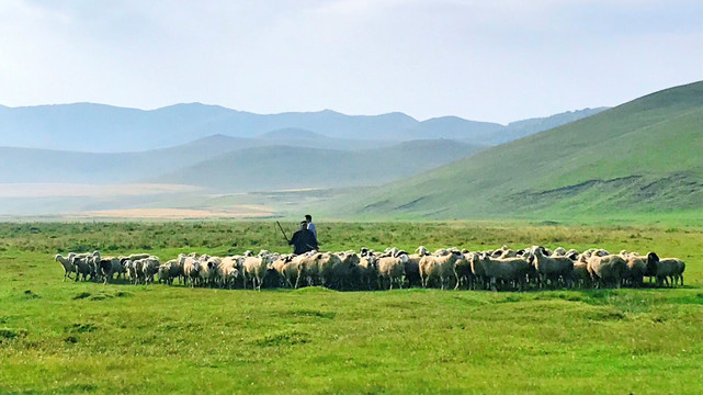 草原牧羊图