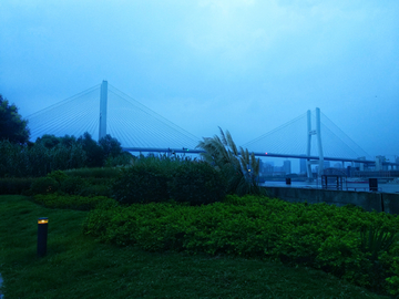 南浦大桥风景