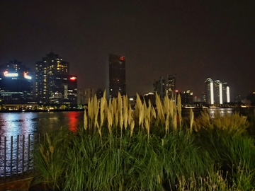 黄浦江夜色