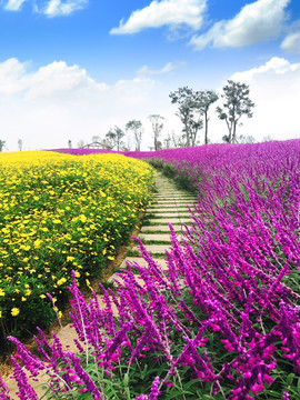 园林花海风景图