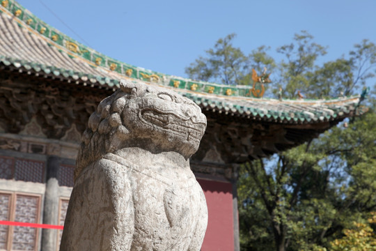 芮城永乐宫狮子