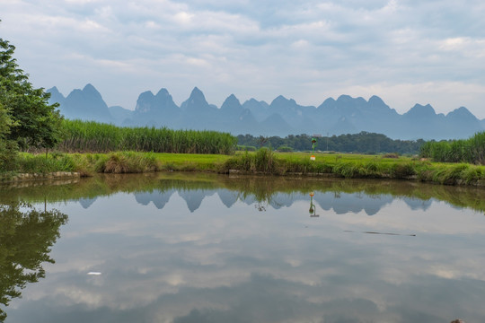 鱼塘池塘风景