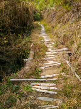 山间小路