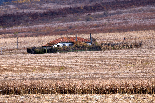 小山庄