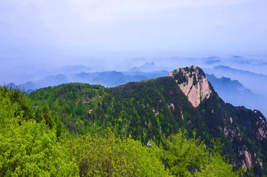 泰山