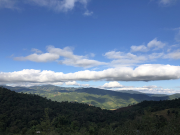 曼糯古茶山