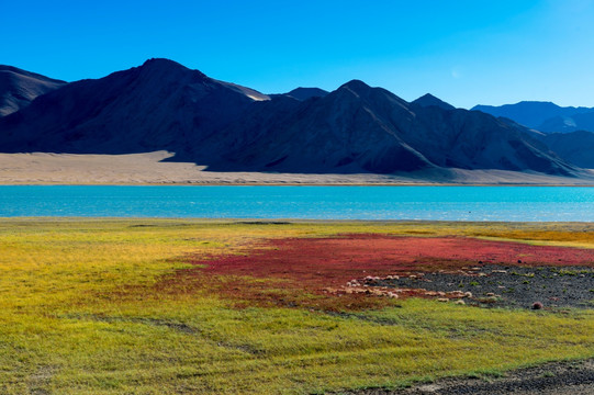 新藏线上的风景