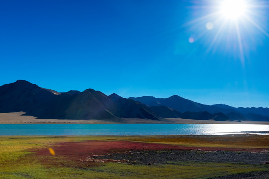 新藏线上的风景