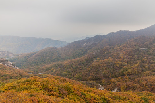 凤凰山红叶秋色自然风光112