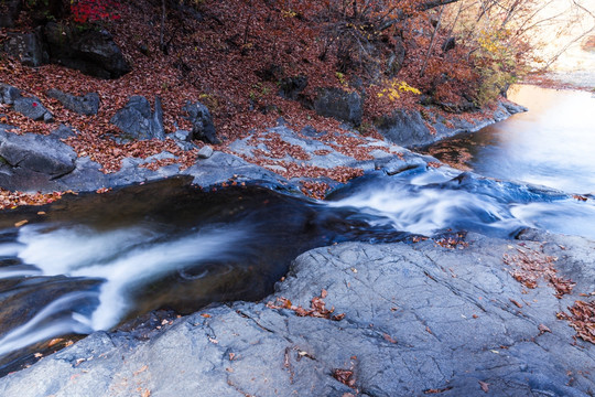 红叶秋色瀑布流水自然景观22