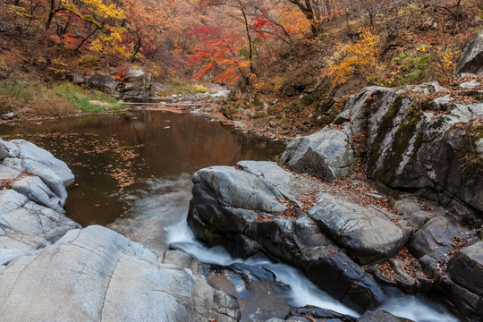 红叶秋色岩石流水自然景观32