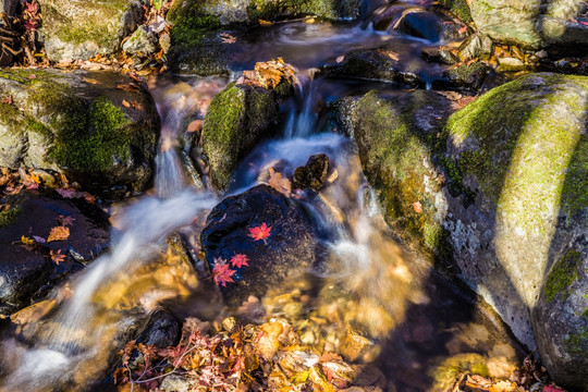 红叶岩石流水瀑布自然景观01
